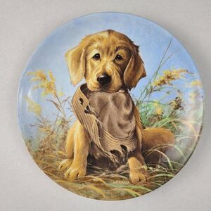 Lynn Kaatz "Caught In The Act" Golden Retriever Puppy Collectible Plate Vintage